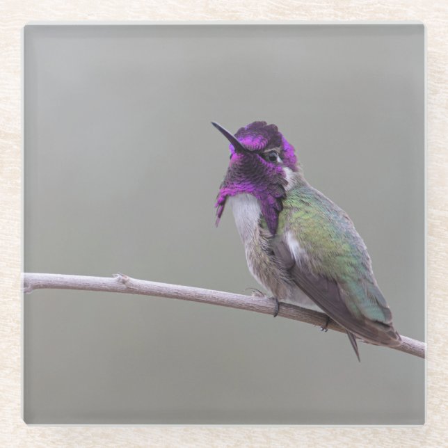 Posavasos De Vidrio Costura costarricense (Anverso)