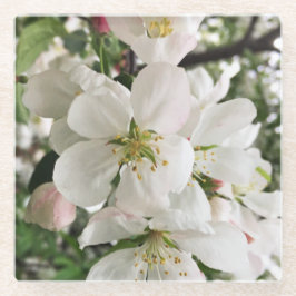 Posavasos De Vidrio Crabapple floreciente