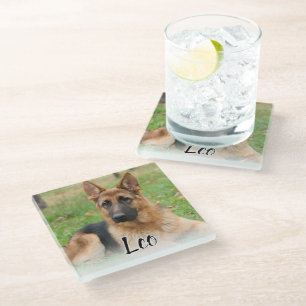 Posavasos De Vidrio Crea tu propia foto de mascota con nombre personal