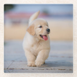 Posavasos De Vidrio Crea tu propia mascota personalizada