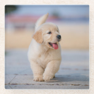 Posavasos De Vidrio Crea tu propia mascota personalizada