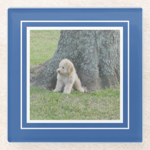 Posavasos De Vidrio Crea tu propia plantilla de foto azul y blanca