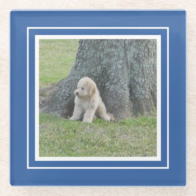 Posavasos De Vidrio Crea tu propia plantilla de fotos azul y blanco (Anverso)