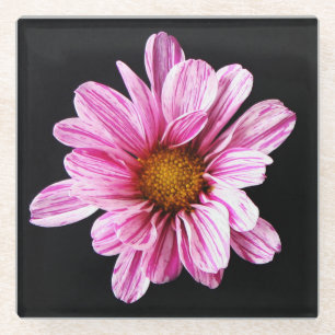 Posavasos De Vidrio Crisantemo Coastercnm flor
