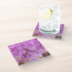 Posavasos De Vidrio Crocus rosa otoñal florece