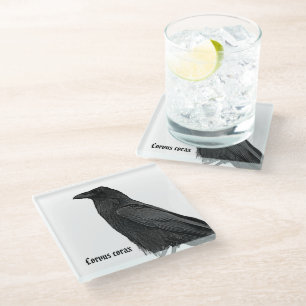 Posavasos De Vidrio Cuervo Negro Con Nombre Científico
