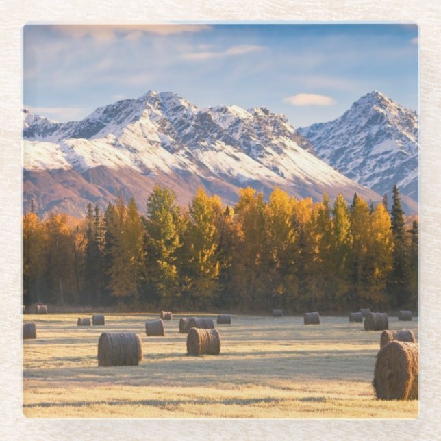 Posavasos De Vidrio Cultivo de Alaska (Anverso)