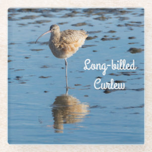 Posavasos De Vidrio Curlew de larga factura