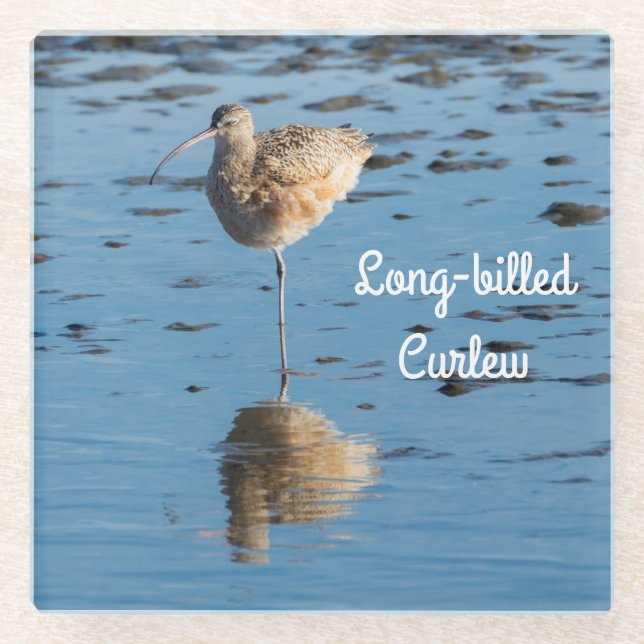 Posavasos De Vidrio Curlew de larga factura (Anverso)