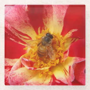 Posavasos De Vidrio Custodia de rosa rojo y vidrio de abeja