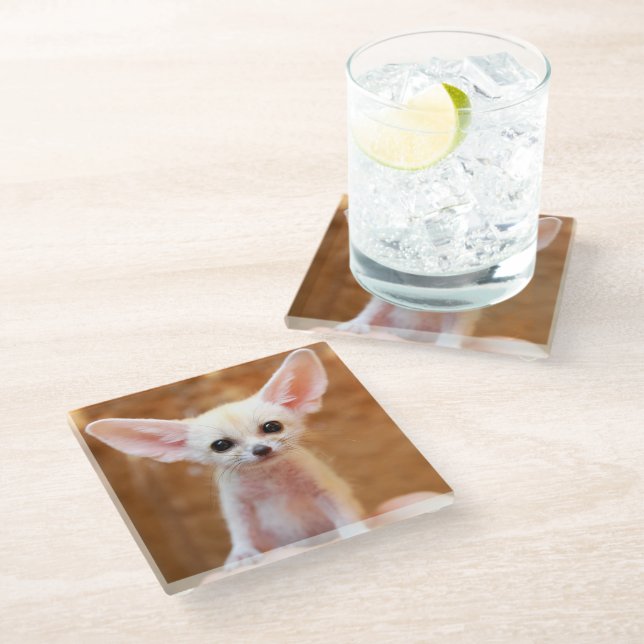 Posavasos De Vidrio Cutest Baby Animals | Fennec Fox (Angular)