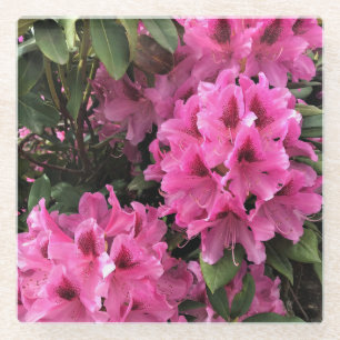 Posavasos De Vidrio Cynthia Rododendros, Oregón