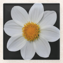 Posavasos De Vidrio Dahlia blanca en floral negra
