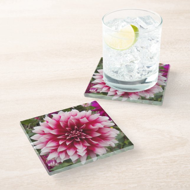 Posavasos De Vidrio Dahlia Floral Variada Rosa (Angular)