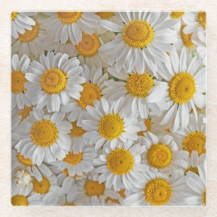Posavasos De Vidrio Daisies blancos: Hermoso fondo floral
