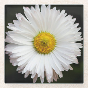 Posavasos De Vidrio Daisy
