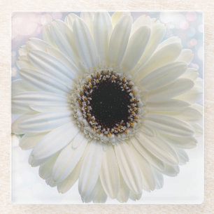 Posavasos De Vidrio Daisy blanco