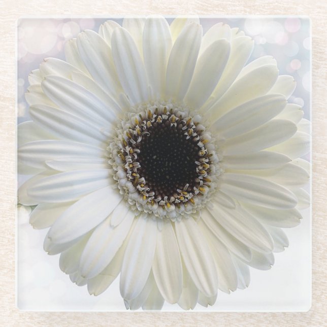 Posavasos De Vidrio Daisy blanco (Anverso)