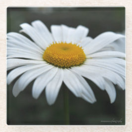 Posavasos De Vidrio Daisy - Cara arriba