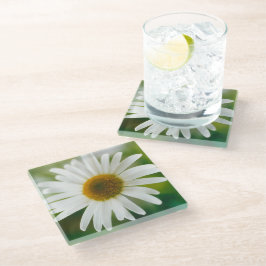 Posavasos De Vidrio Daisy de Oxeye blanco - Leucanthemum vulgare