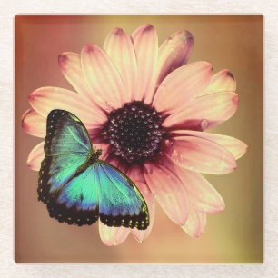 Posavasos De Vidrio Daisy y Mariposa