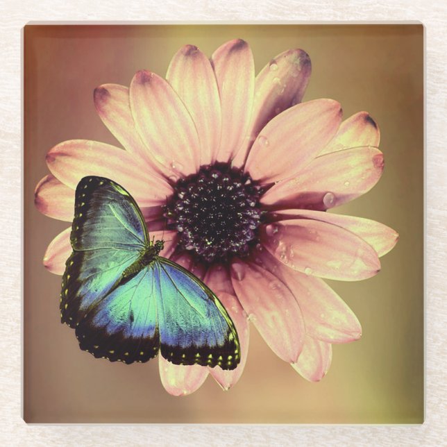 Posavasos De Vidrio Daisy y Mariposa (Anverso)