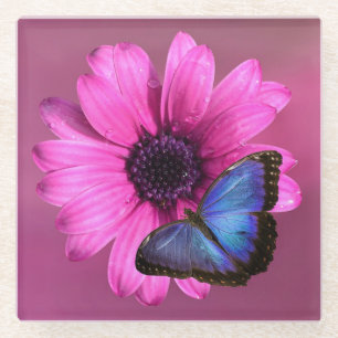 Posavasos De Vidrio Daisy y Mariposa
