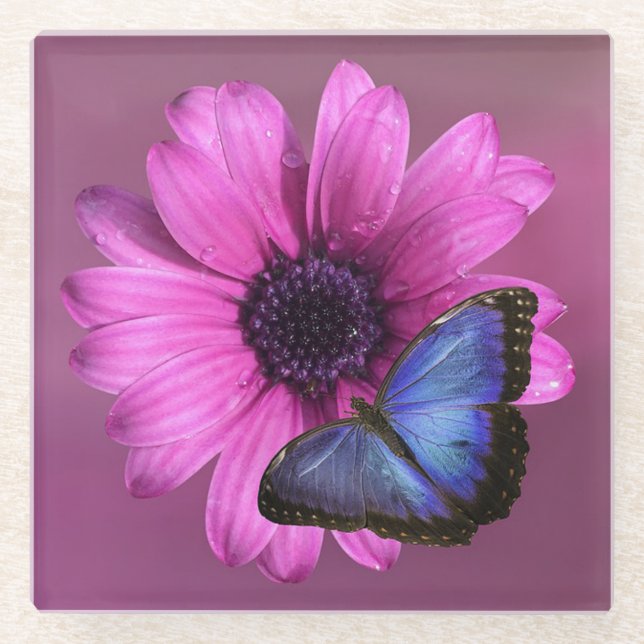 Posavasos De Vidrio Daisy y Mariposa (Anverso)