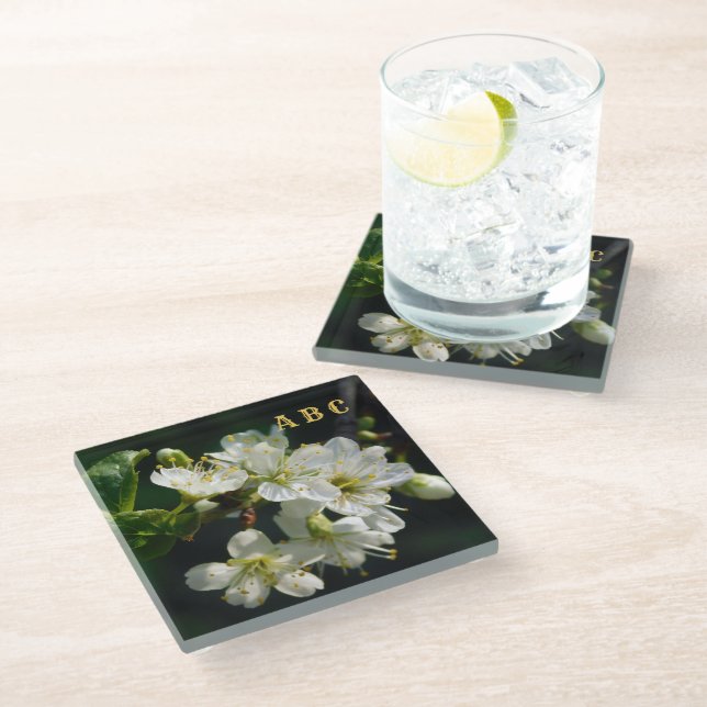 Posavasos De Vidrio Dark Botanical White Plum Blossom Glass Coaster (Angular)