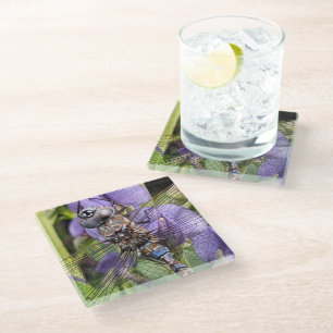 Posavasos De Vidrio Darner Dragonfly de ojos azules sobre la flor