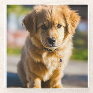 Posavasos De Vidrio decoración de perros