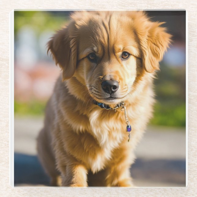 Posavasos De Vidrio decoración de perros (Anverso)
