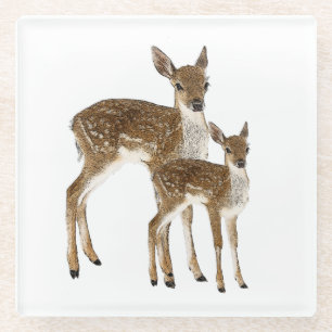Posavasos De Vidrio Deer