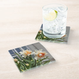Posavasos De Vidrio Delicada primavera de daffodils tiernos