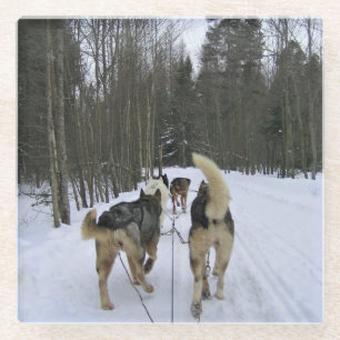 Posavasos De Vidrio Derrame de perro en Quebec, Canadá