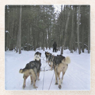 Posavasos De Vidrio Derrame de perro en Quebec, Canadá