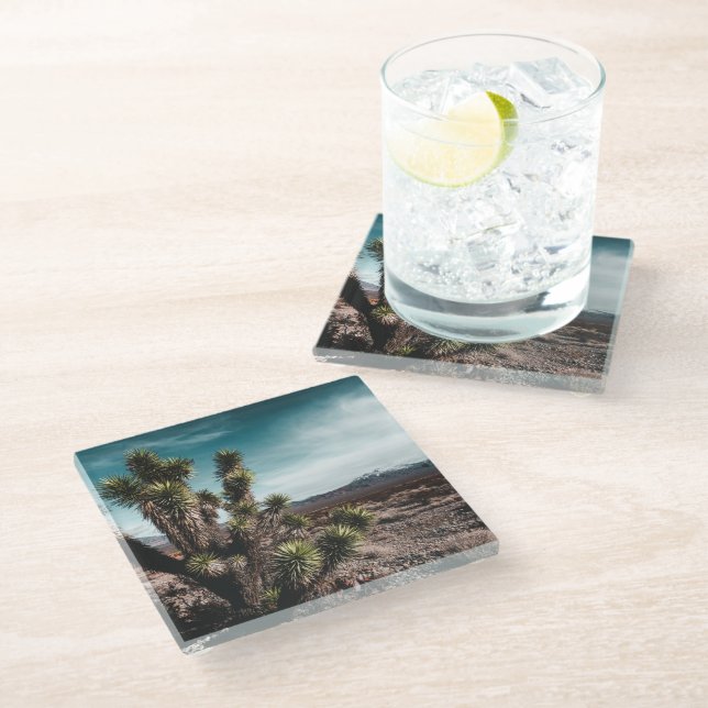 Posavasos De Vidrio Deserts | Cholla Cactus (Angular)