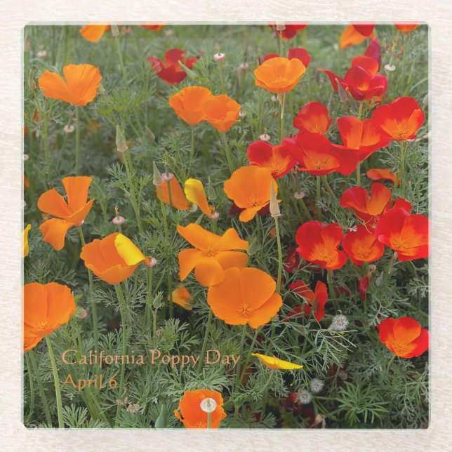 Posavasos De Vidrio Día de la amapola en California (Anverso)