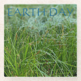 POSAVASOS DE VIDRIO DÍA DE LA TIERRA