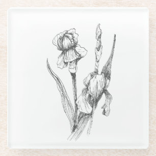 Posavasos De Vidrio Dibujo Bella Artes, Flor Iris, Arte Botánico