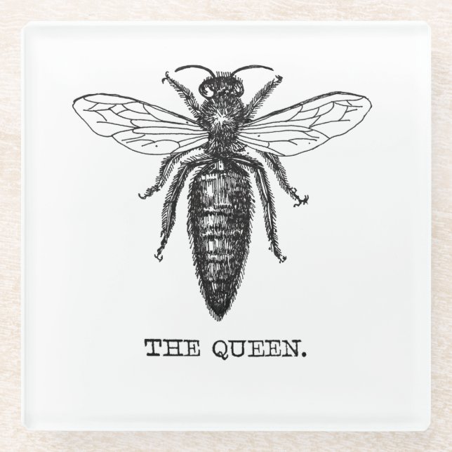 Posavasos De Vidrio Dibujo clásico del Ilustracion Queen Bee (Anverso)