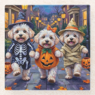 Posavasos De Vidrio Disfraces de Halloween para Bichon Frise haciendo 
