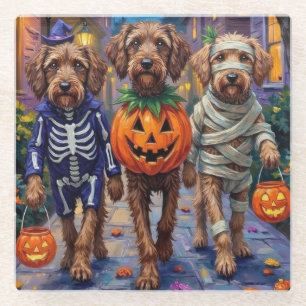 Posavasos De Vidrio Disfraces de Halloween para Griffon de pelo duro a