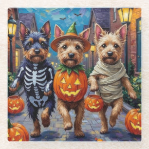 Posavasos De Vidrio Disfraz de Halloween para Cesky Terrier haciendo '