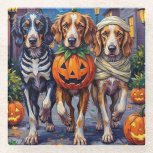 Posavasos De Vidrio Disfraz de Halloween para English Setter haciendo 