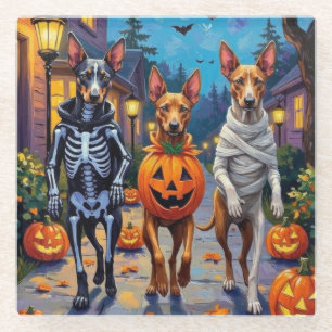 Posavasos De Vidrio Disfraz de Halloween para Thai Ridgeback haciendo