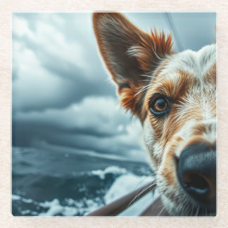 Posavasos De Vidrio Dog in Bed of RV