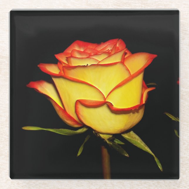 Posavasos De Vidrio Double Red and Yellow Rose Bloom (Anverso)
