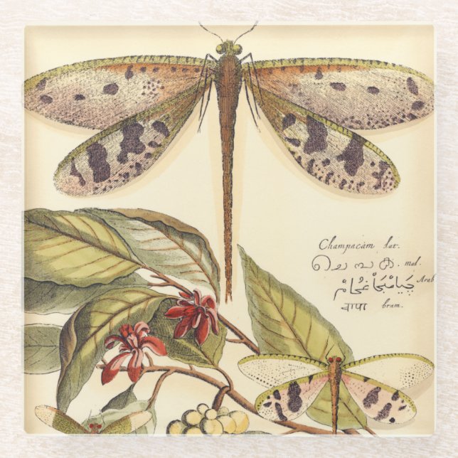 Posavasos De Vidrio Dragonflies con hojas y fruta (Anverso)