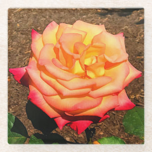 Posavasos De Vidrio Dream Come True Rosa #3 Glass Coaster